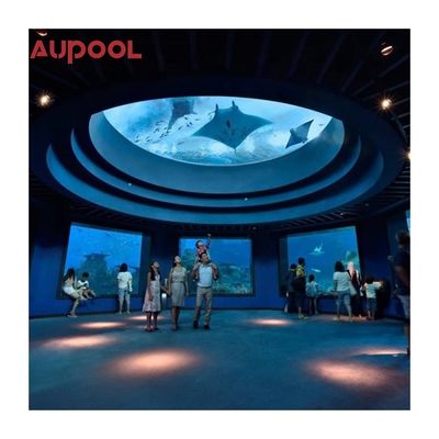 Ακρυλική πισίνα AUPOOL Κήπος Πυργική αυλή Ατελείωτο μακρύ κολύμπι Spa με κάλυψη και θέρμανση